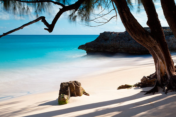 Playa de Barbados en el Caribe