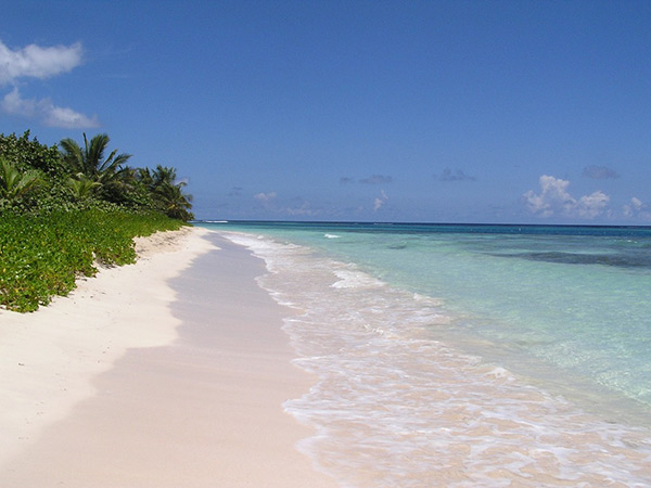 playa-flamenco