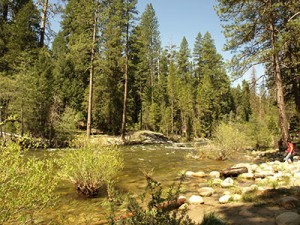 Rio en Parque Yosemite