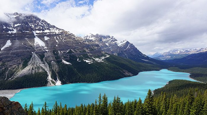 Lago Peyto