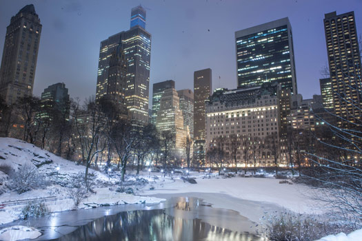 Central Park en invierno