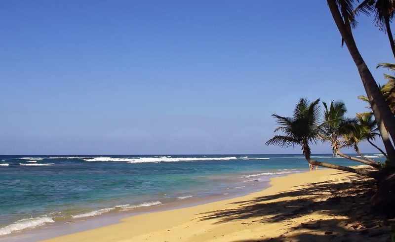 oferta de hoteles en playa bavaro