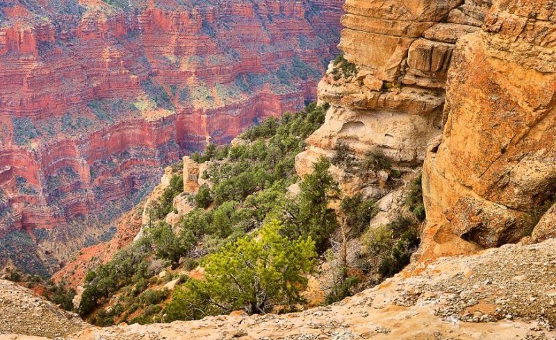 parque nacional usa