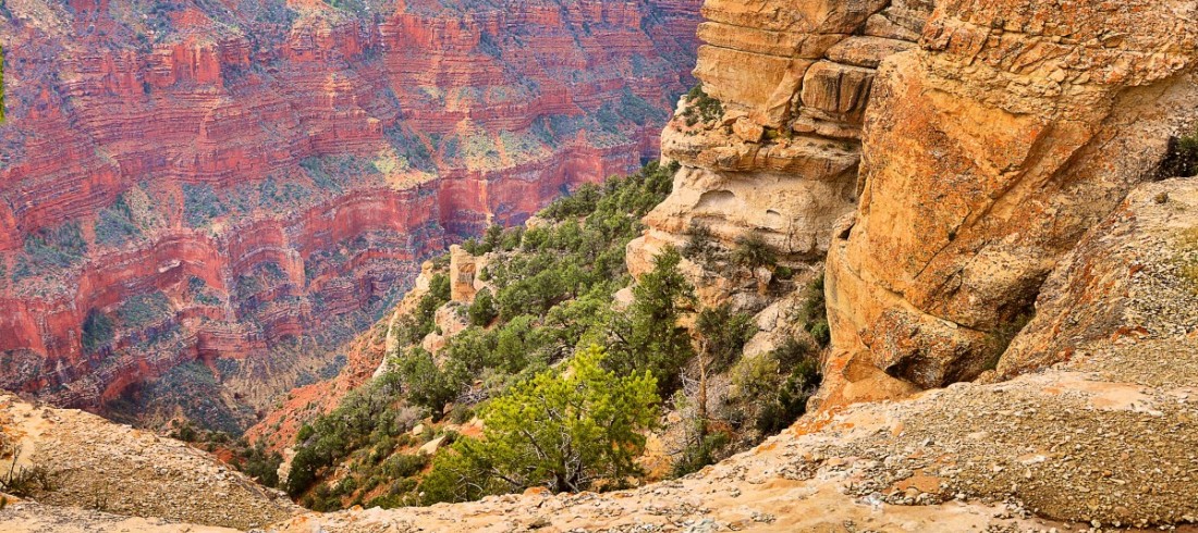 parque nacional usa